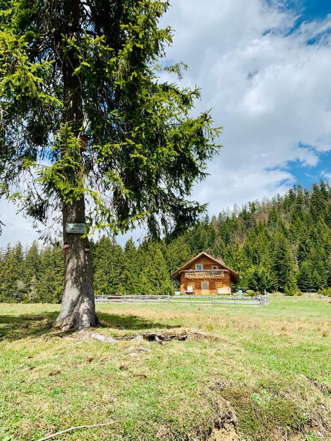 Bergheimat Daire Bad Goisern Dış mekan fotoğraf