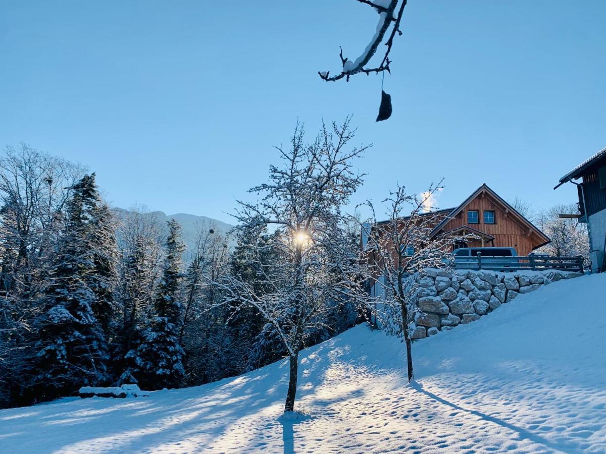 Bergheimat Daire Bad Goisern Dış mekan fotoğraf