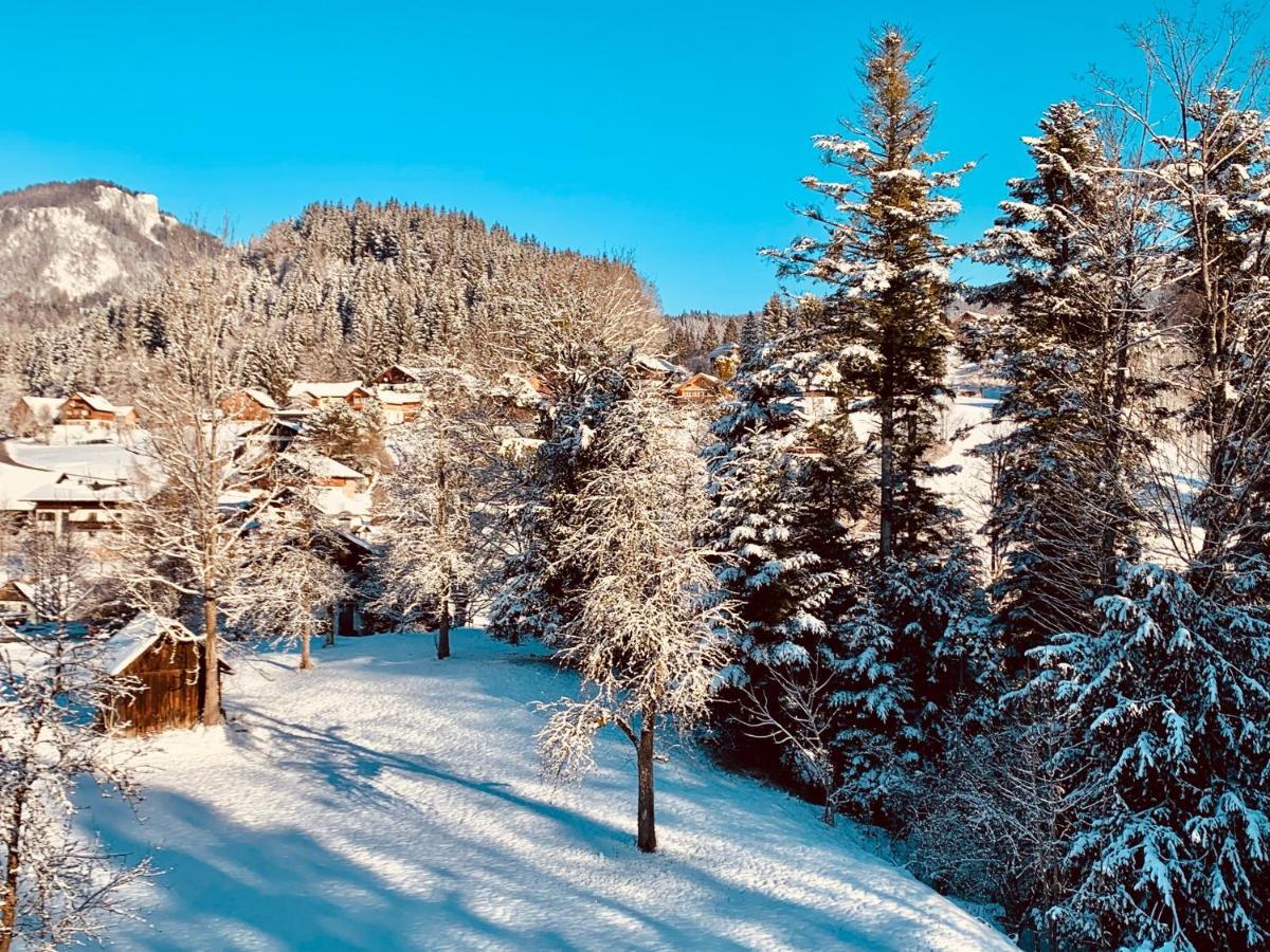 Bergheimat Daire Bad Goisern Dış mekan fotoğraf